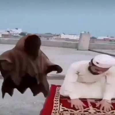 Islam is save🤗☺☺☺😠👿