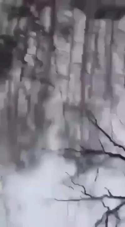 Ukrainians confuse Russian tank for their own