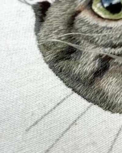 A Embroirded Tabby Cat