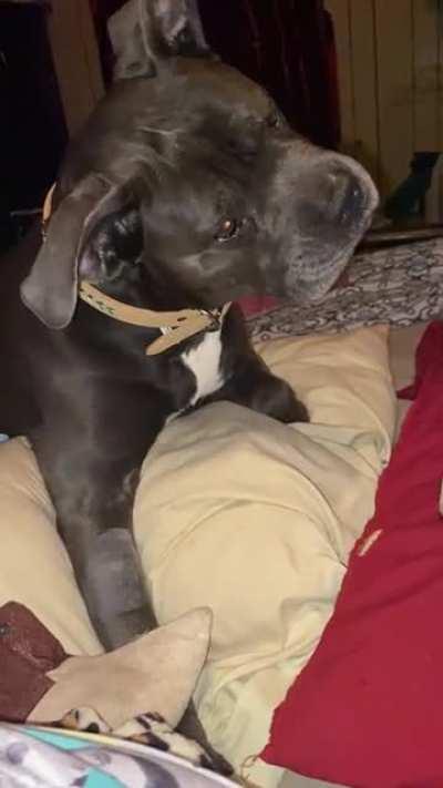 Coming down from anesthesia and hearing Pink Floyd for the first time be like…