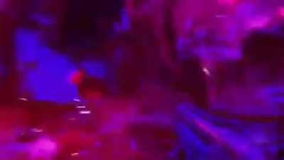 Sos el ultimo hombre en un planes ya lleno de feministas y sus hijas de cartílago o algo así