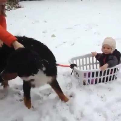 I’m sure it looked solid on paper