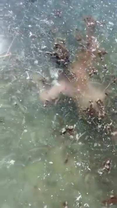 I almost suffocated watching this