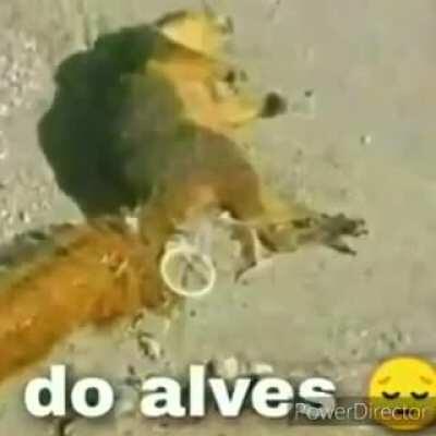Eu num vi isso.... Que merdaaaaaa