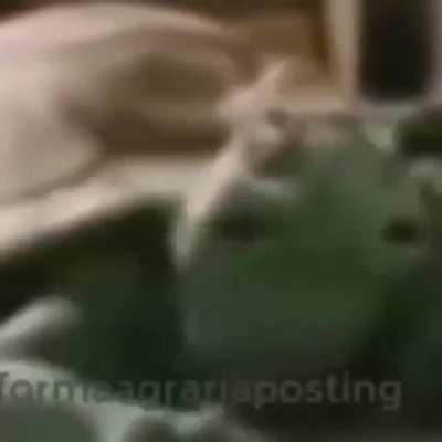 Quien fue?😡😡😡