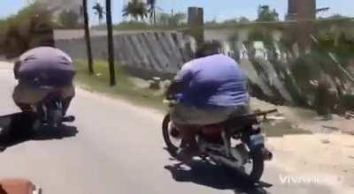 Pericão indo pro show