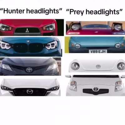 Your car needs to start mewing