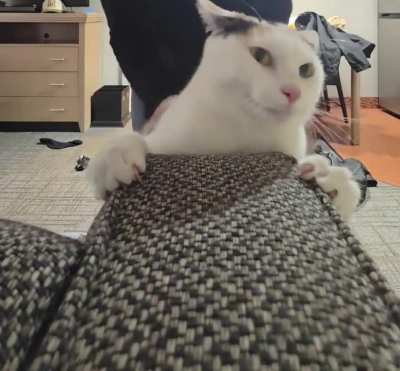 Mimi getting absolutely BONGO'D