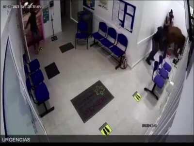 Pet Friendly Waiting Room