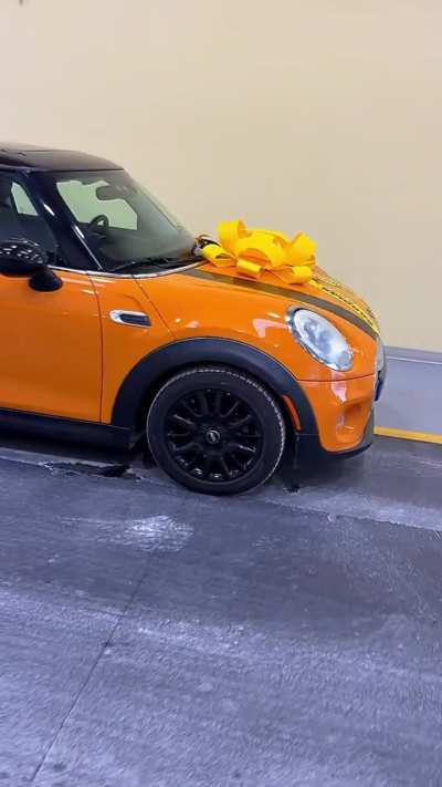 First time mini owner !