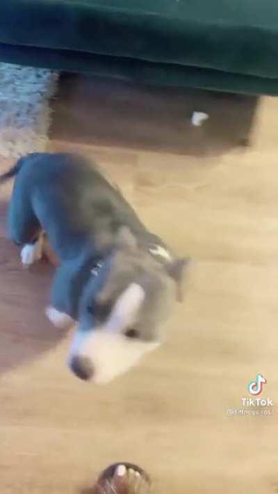 This is both sad and wholesome. I’ll tell this to my hippo everytime we go outside 😢