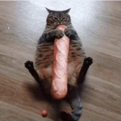 This big guy eating a baguette