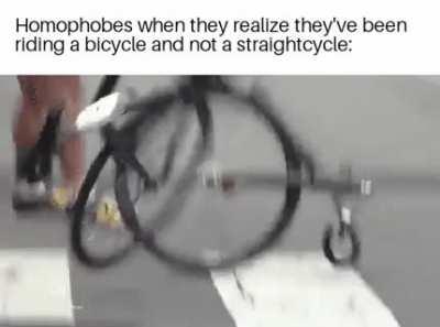 Do you ever hang around the gymnasium?