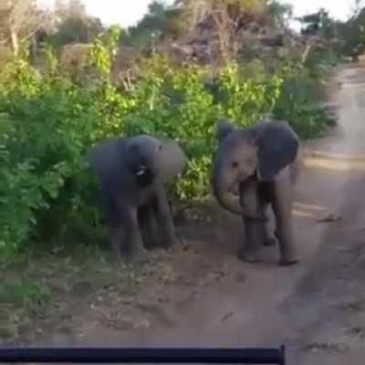 Intimidation tactics