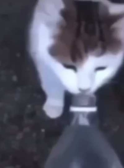 NnnnhgvdjgrdyhjbgvjjhbhibdfvhkbvscvisdbhbhivdshibdscbhisdvbhidsvbhjdwfbhisdbhivdwvihbyvibedgdvysIuibfdsyifsdfbyi