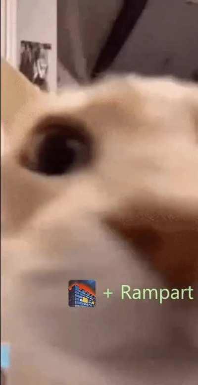 P10S Tank experience