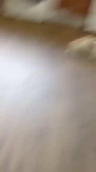 А кто это сделал?