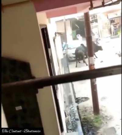 Will insurance pay for this?