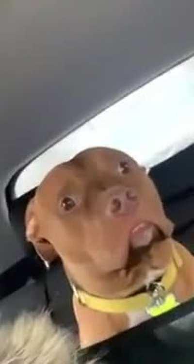 When he realizes he is at the doctor and not at the park.