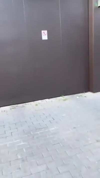 Bueno, vos no me grites. *japish*