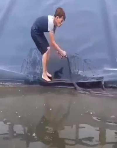 WTF is going on here?