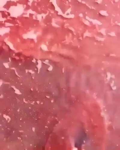 Tokyo 3 beach lookin mighty fine😎🌞🔷