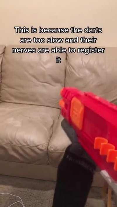 What are you all talking about there is no porn