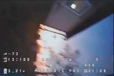 Tuxedo cat takes out kamikaze drone in Ukraine (actually real?)