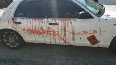 Saw someone else post Halloween decorations and wanted to show my contribution 🎃