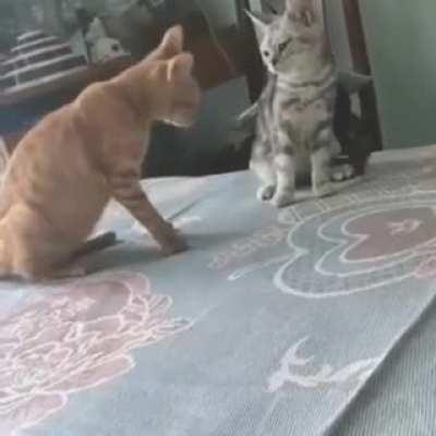 I'll never let you go again...