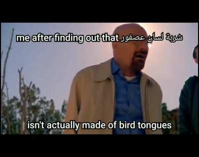 Egyptian slander (Part 2)