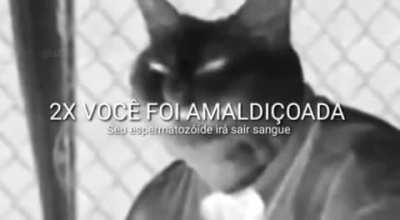 Eu disse pra parar amigo