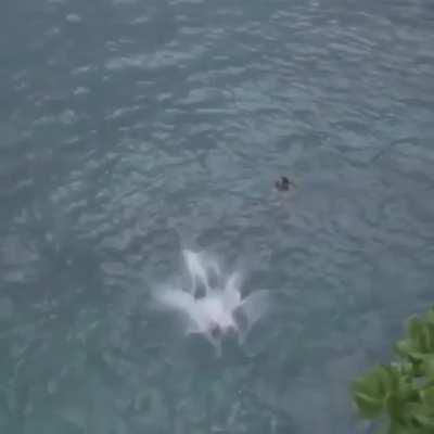 Technically, this is a shrimp dive.