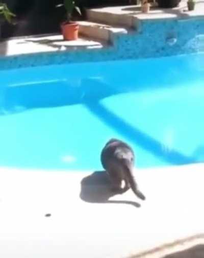 I feel bad for laughing