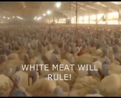 The Turkish president gives a speech