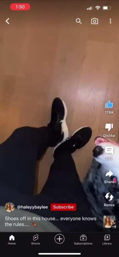 Show me them grippers