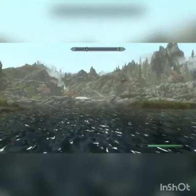 I was playing Skyrim and I noticed this Mudcrab that had somewhere else to be