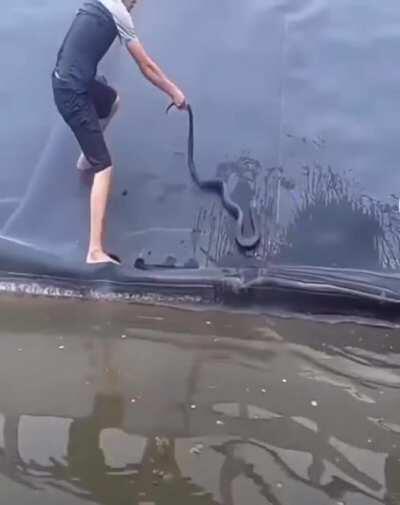 I definitely said wtf out loud.