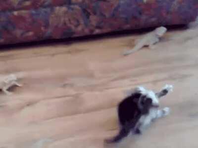 Dragons do exist and they're pissed