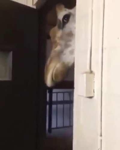 Just when you think you're all alone