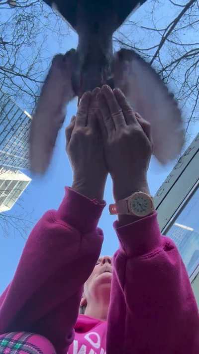 Pigeons eating out of my hands