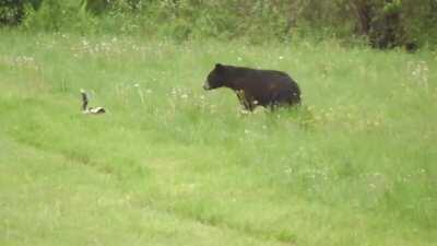 Poor fella never saw it coming