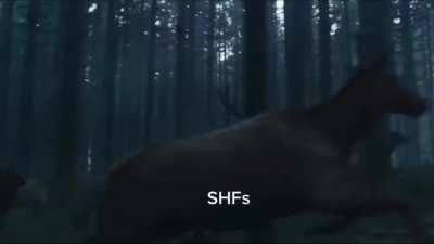 I made a promise and I delivered