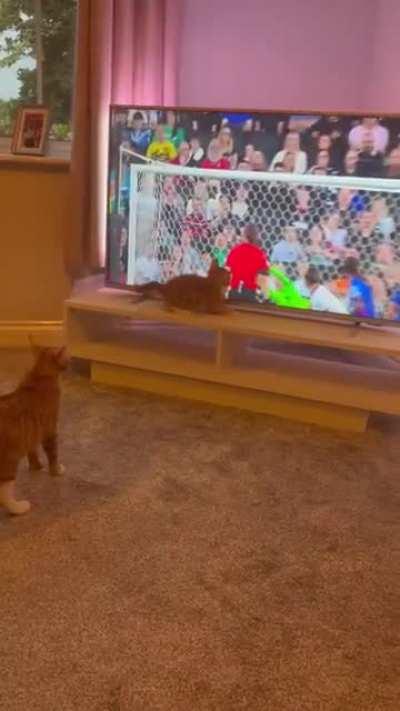 he loves football very much