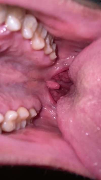 Begin your journey of no return