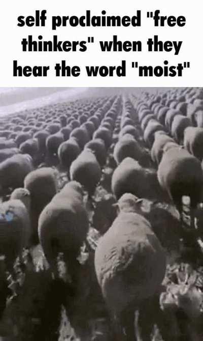 dirty minded sods the lot of you