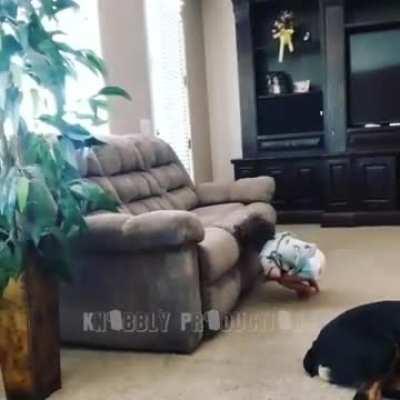 This is what being a parent is all about.