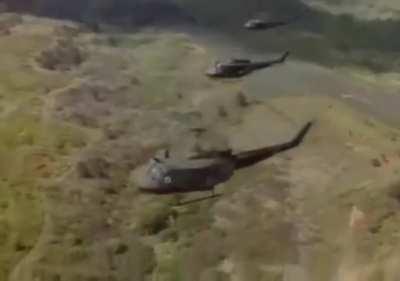 floppa vietnam flashback