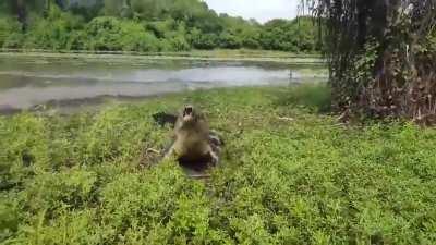 A day fishing out by the river takes an abrupt turn