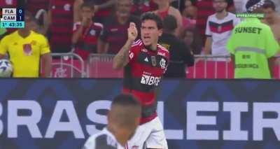 Pedro chamando a galera pra f1 durante o jogo